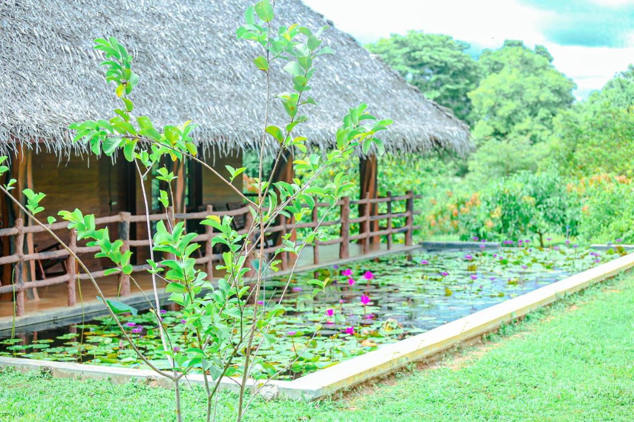 Sigiriya Water Cottage Exterior foto